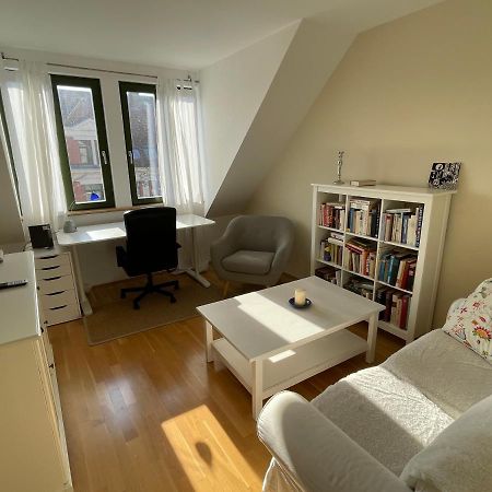 Loft Mit 2 Terrassen - Ruhig&Sonnig Lejlighed Leipzig Eksteriør billede