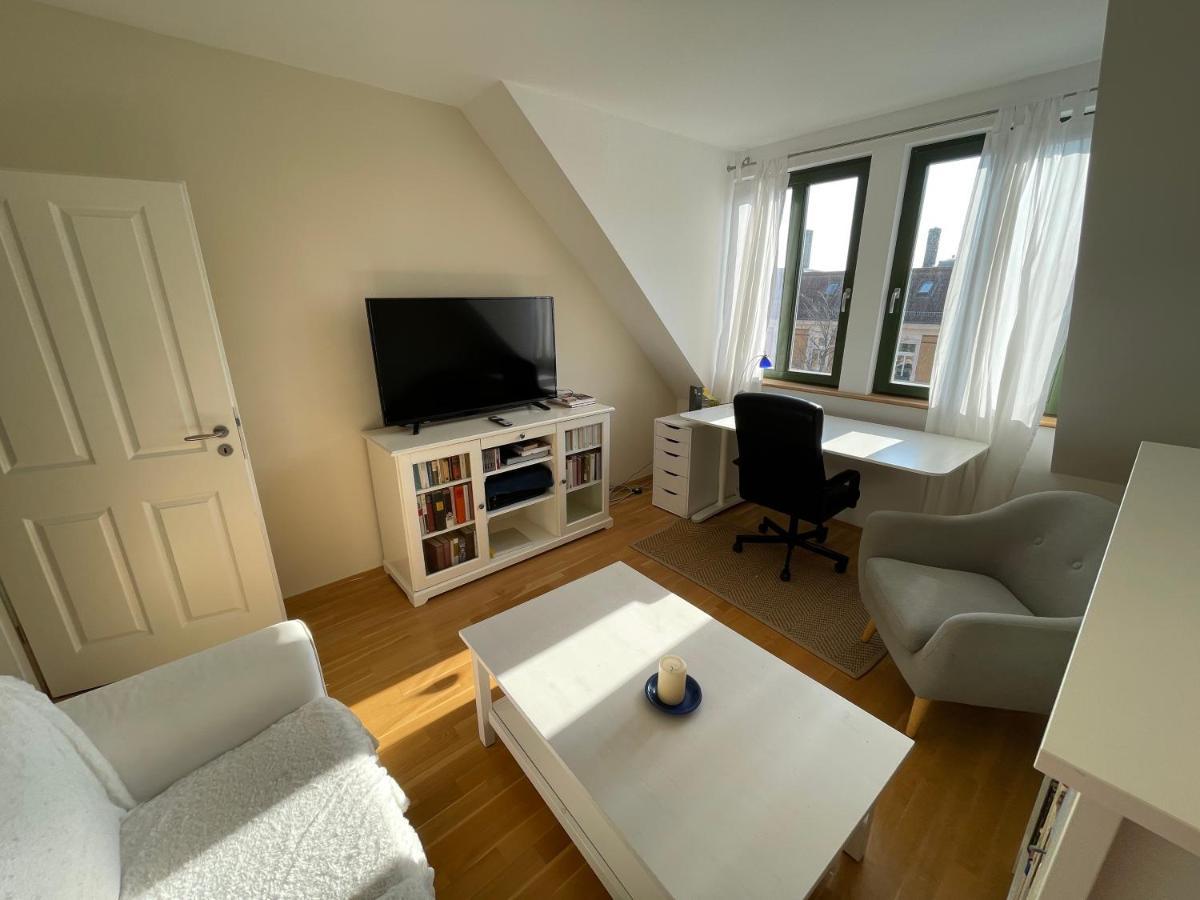 Loft Mit 2 Terrassen - Ruhig&Sonnig Lejlighed Leipzig Eksteriør billede